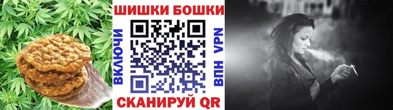 цена   Краснообск  Cannafood конопля 