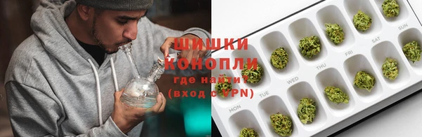 сатива Алексеевка