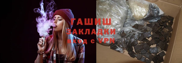 гашик Алексин