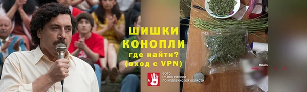 гашик Алексин