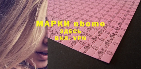 гашик Алексин